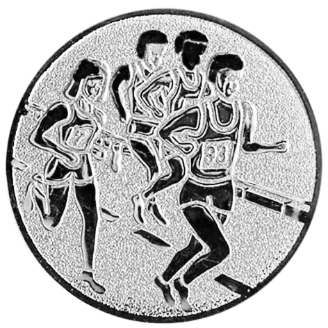 De Schieter, medailles