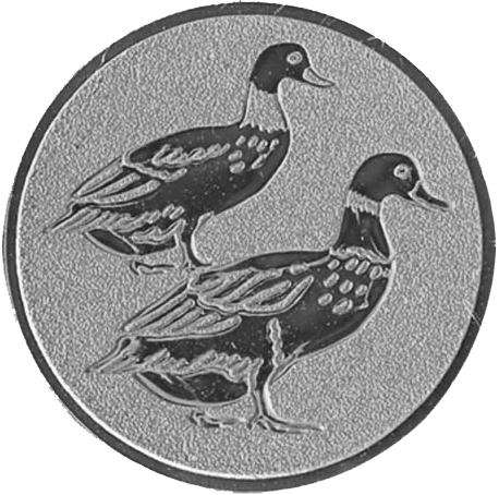 De Schieter, medailles