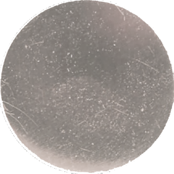 De Schieter, medailles